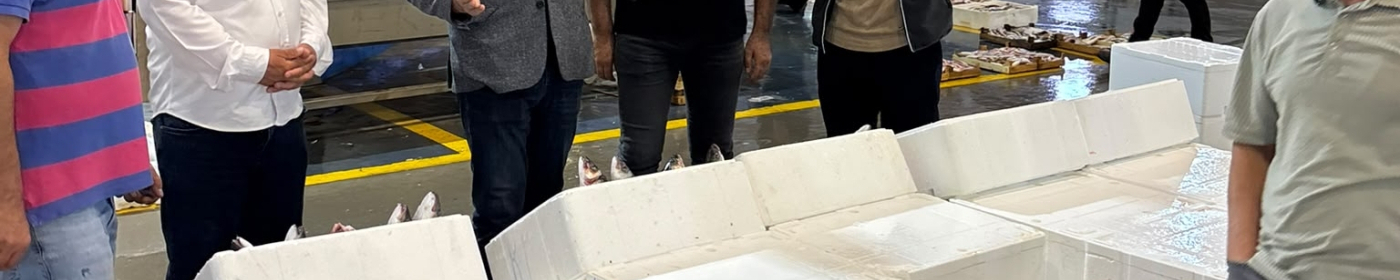 DEVA’dan Balık Hali Çağrısı: Esnaf Soğuk Oda, Lokanta ve Geç Sezon Açılışı İstiyor