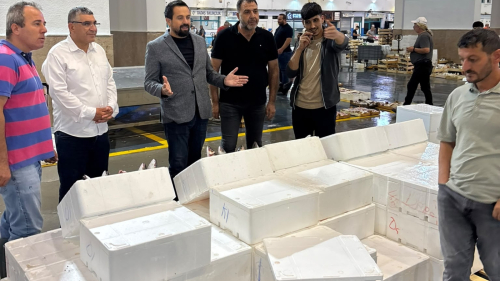 DEVA’dan Balık Hali Çağrısı: Esnaf Soğuk Oda, Lokanta ve Geç Sezon Açılışı İstiyor