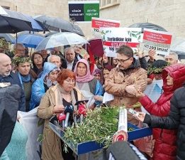 Güzel Haber: Torba Yasadan Zeytin Maddesi çıkarıldı!