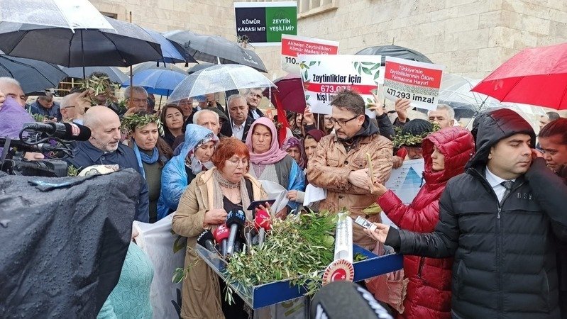 Güzel Haber: Torba Yasadan Zeytin Maddesi çıkarıldı!