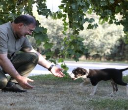 AK Parti İzmir İl Başkanı Bilal Saygılı, iki sokak köpeğini sahiplendi