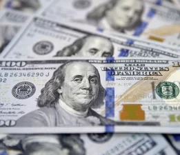 Merkez Bankası rezervleri 138 milyar 532 milyon dolar oldu