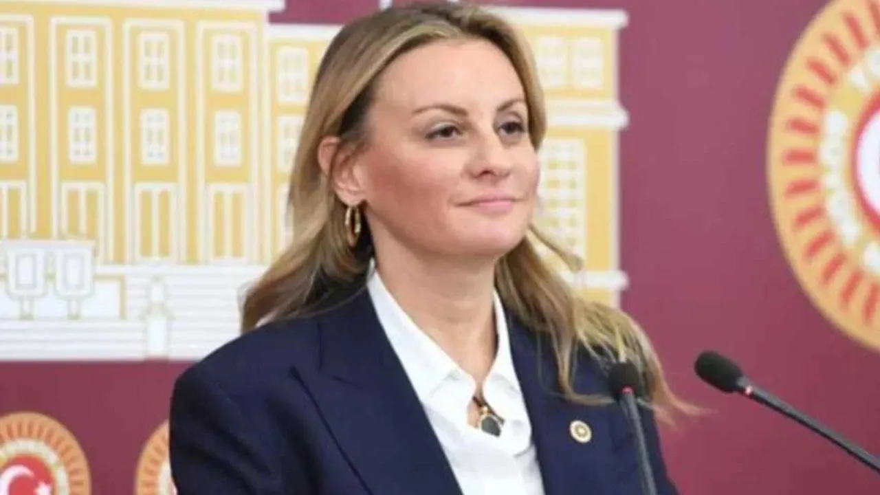 DEVA’dan istifa etmişti… Yeni partisi belli oldu!