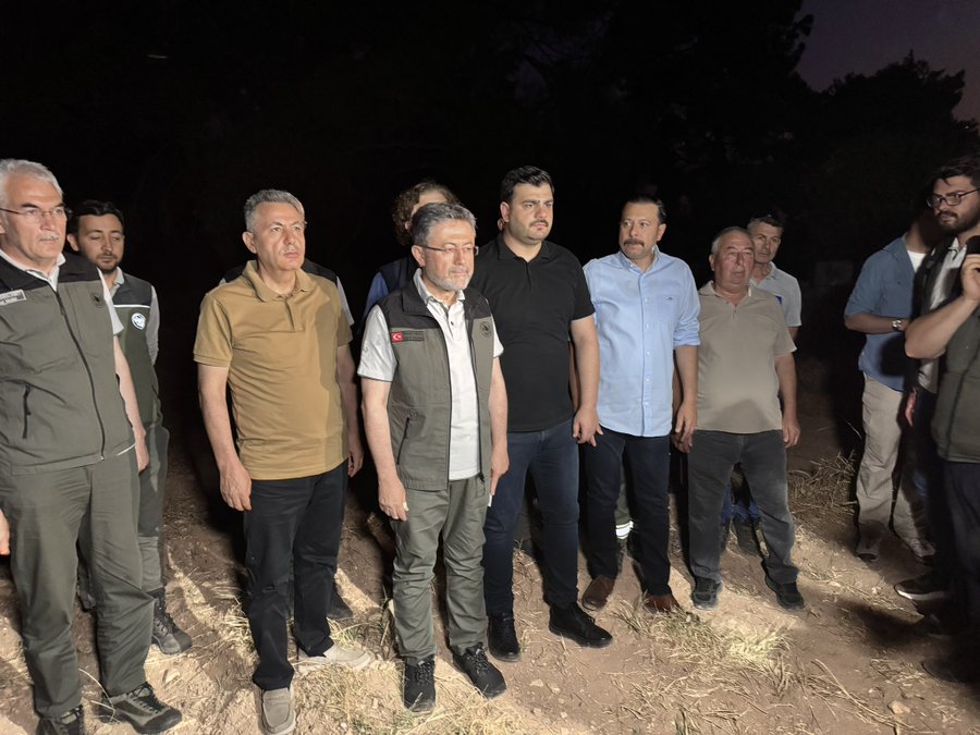 İzmir’deki Orman Yangınına Devlet Seferber Oldu