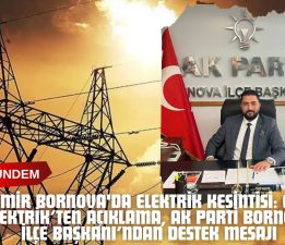 İzmir Bornova’da Elektrik Kesintisi: GDZ Elektrik’ten Açıklama, AK Parti Bornova İlçe Başkanı’ndan Destek Mesajı