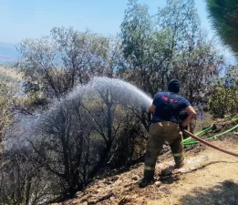 Büyükşehir’den yangın raporu: 2 günde 227 müdahale!