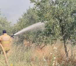 Ödemiş’te yangınla mücadele sürüyor