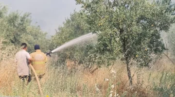 Ödemiş’te yangınla mücadele sürüyor