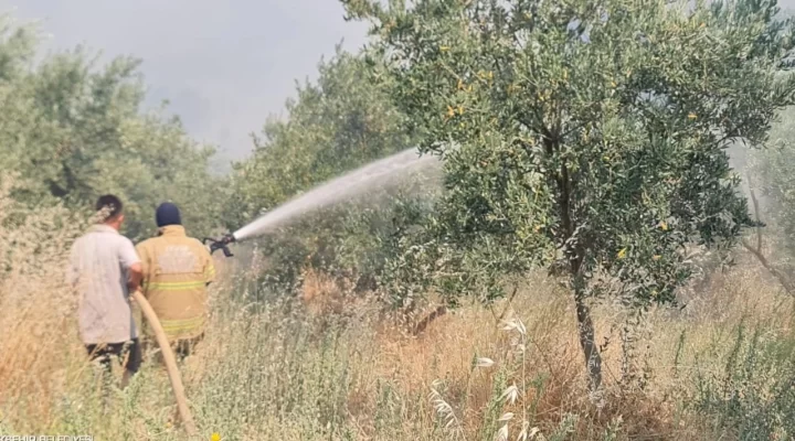 Ödemiş’te yangınla mücadele sürüyor