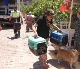 Yangından kurtarılan can dostlarına kavuştu!