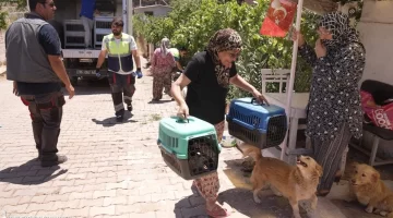 Yangından kurtarılan can dostlarına kavuştu!