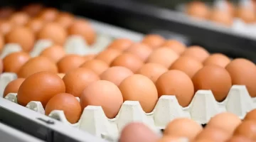 Resmi Gazete’de yayımlandı… Yumurta satışında yeni dönem!