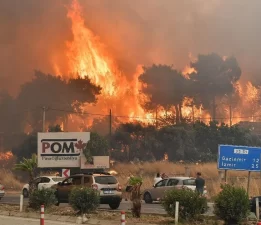İZPA’dan orman yangını raporu… İzmir risk altında!