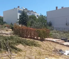 Park ve yeşil alana ticari faaliyet girişimi izni verilmiş: Ağaçlara ihanet