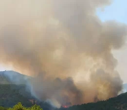 Uşak’taki kabus sona erdi!