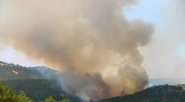 Uşak’taki kabus sona erdi!
