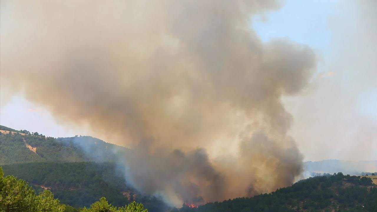 Uşak’taki kabus sona erdi!