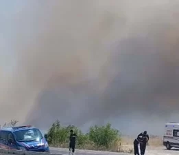 Muğla’da tarım arazisinde yangın