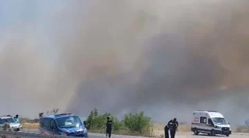 Muğla’da tarım arazisinde yangın