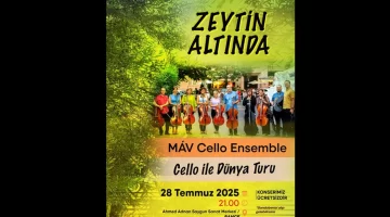 Zeytin Altında konserleri MAV Cello Ensemble ile başlıyor