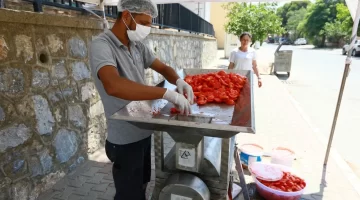 Selçuk’ta kışlık salça hazırlıkları başlıyor