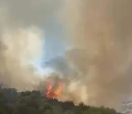 Muğla’da tarım arazisinde yangın