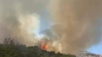 Muğla’da tarım arazisinde yangın