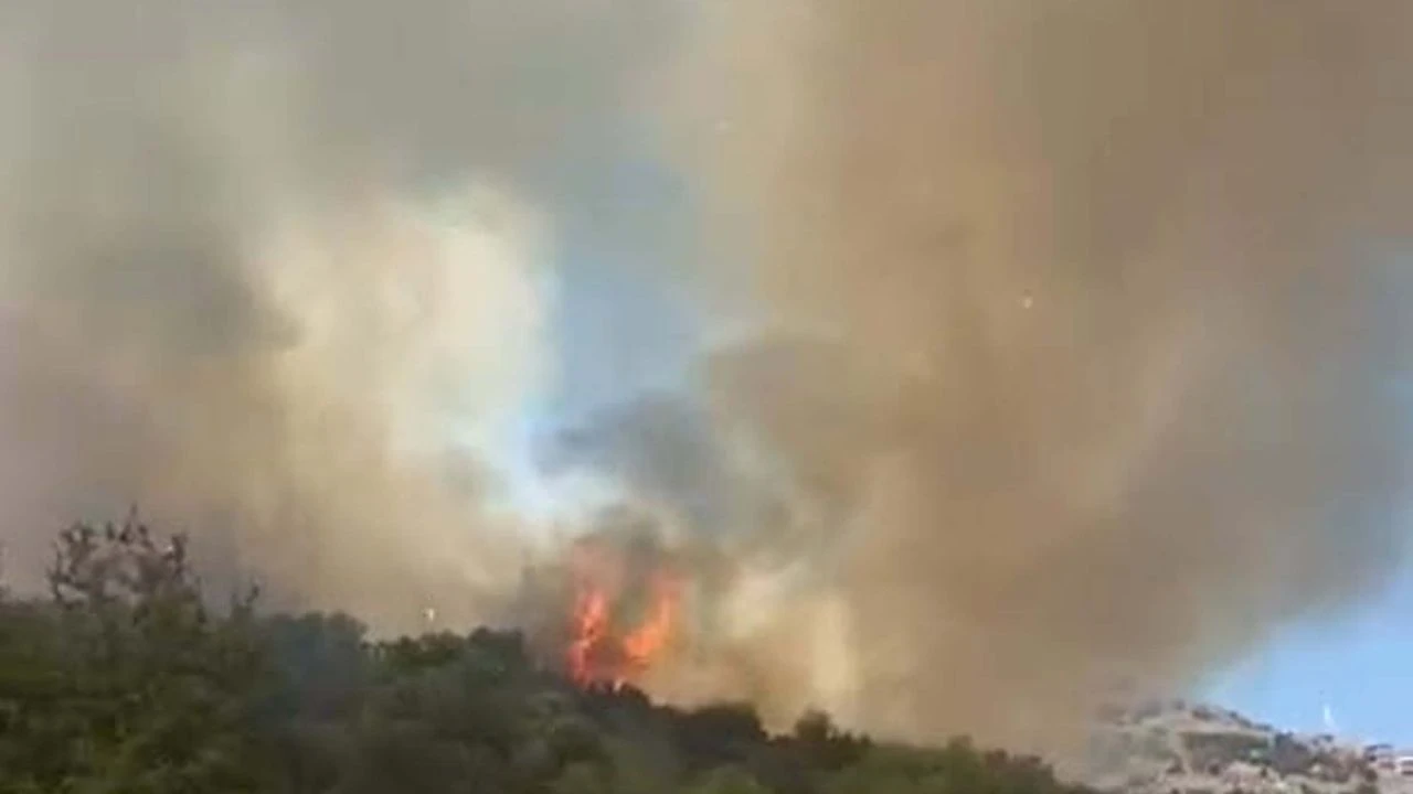 Muğla’da tarım arazisinde yangın