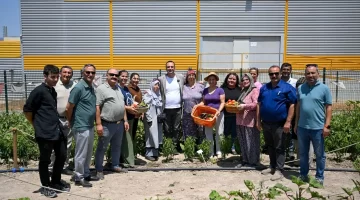 Bornova’da Kent Bostanları’nda hasat sevinci