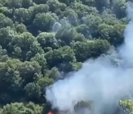 Nazilli’de orman yangını 2 saatte kontrol altına alındı