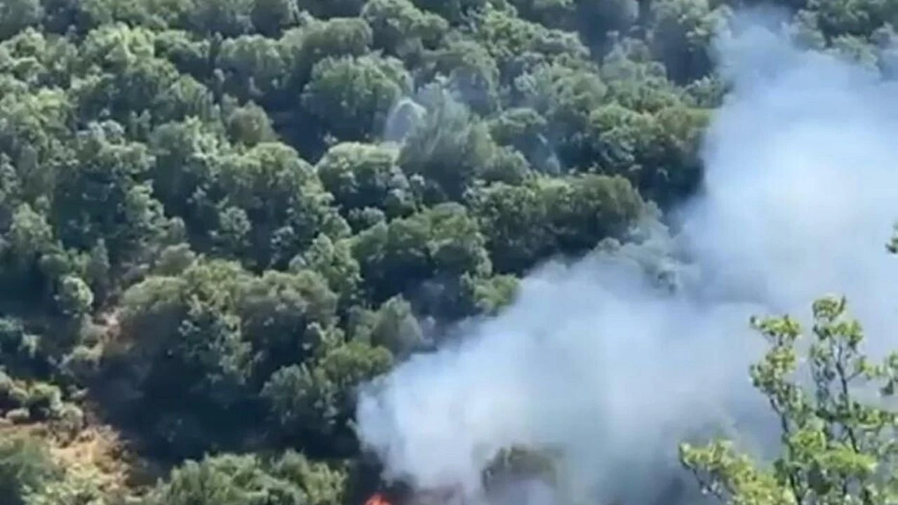 Nazilli’de orman yangını 2 saatte kontrol altına alındı