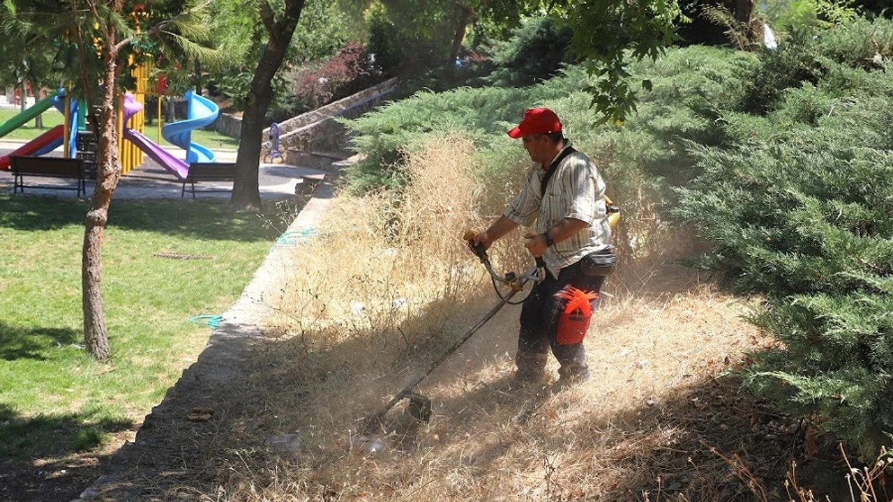 Menderes’te ot temizliği