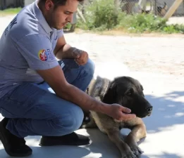 Selçuk’ta “Satın Alma Sahiplen” çağrısı!
