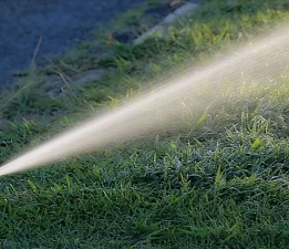 Su krizi parkları vurdu: Belediyeden ‘asgari sulama’ kararı!