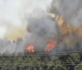 Buca yangını Sarnıç’a sıçradı: Tahliyeler başladı!