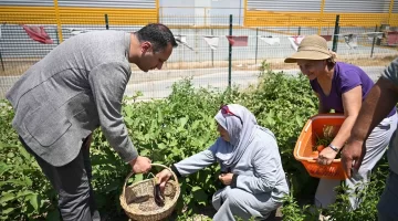 Bornova’ya yeni kent bostanı geliyor!