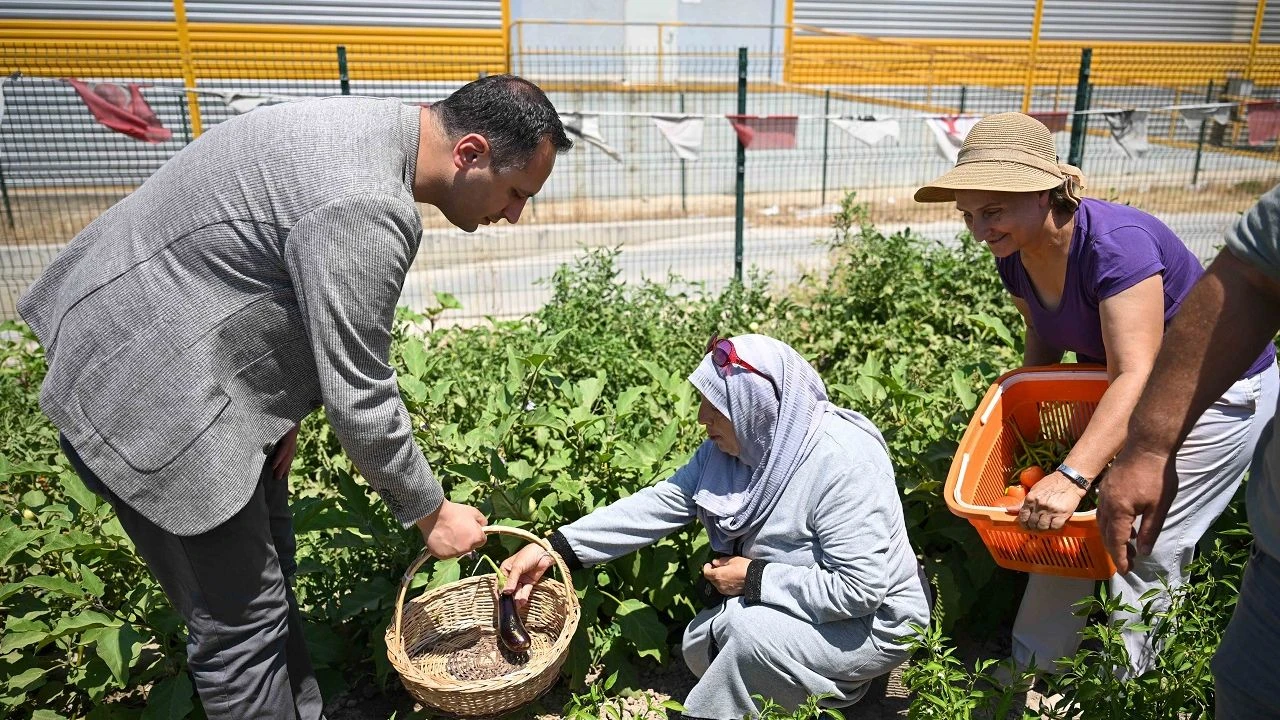 Bornova’ya yeni kent bostanı geliyor!