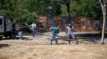 Paterson Köşkü çevresi temizlendi!