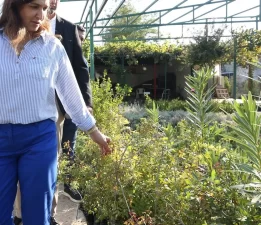 Karşıyaka’dan inşaatlara yeşil şart: Her daireye iki fidan!
