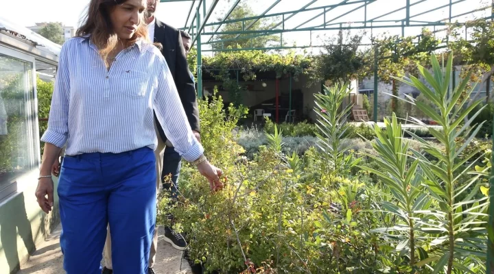 Karşıyaka’dan inşaatlara yeşil şart: Her daireye iki fidan!