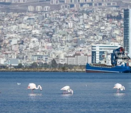 İzmir pilot şehir… İklim krizi ile mücadele sürüyor!