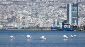 İzmir pilot şehir… İklim krizi ile mücadele sürüyor!