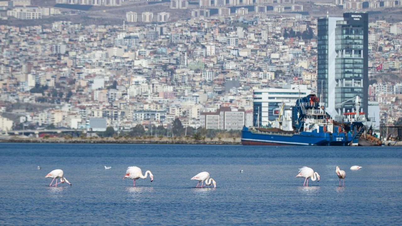 İzmir pilot şehir… İklim krizi ile mücadele sürüyor!