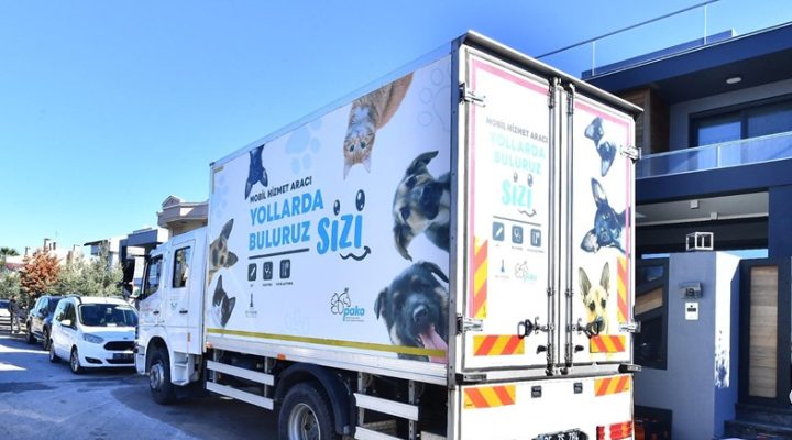 7 bin kediye mobil kısırlaştırma