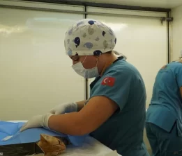 Büyükşehir’den kısırlaştırma seferberliği