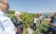 HAYALKIRIKLIĞININ ADRESİ: TARIM BAKANLIĞI