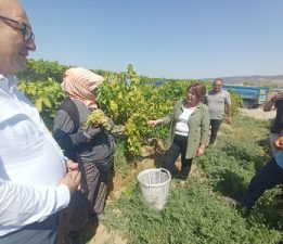 HAYALKIRIKLIĞININ ADRESİ: TARIM BAKANLIĞI
