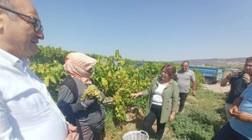 HAYALKIRIKLIĞININ ADRESİ: TARIM BAKANLIĞI