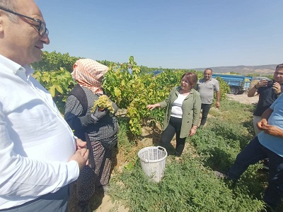 HAYALKIRIKLIĞININ ADRESİ: TARIM BAKANLIĞI