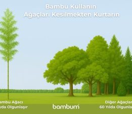 Bambu Kullanın, Ağaçları Kesilmekten Kurtarın